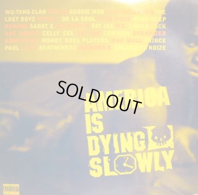 画像1: V.A. ‎/ AMERICA IS DYING SLOWLY (US-2LP) (¥1000)