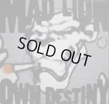 MAD LION / OWN DESTINY