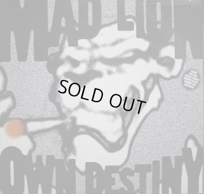画像1: MAD LION / OWN DESTINY