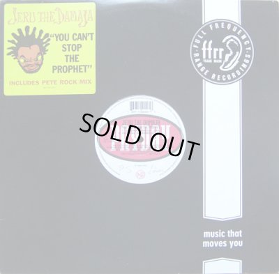 画像1: JERU THE DAMAJA / YOU CAN'T STOP THE PROPHET  (¥1000)