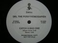 DEL THE FUNKYHOMOSAPIEN / CATCH A BAD ONE  (¥1000)