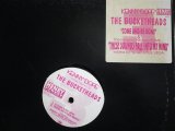 KENNY "DOPE" PRESENTS THE BUCKETHEADS / COME AND BE GONE / THESE SOUNDS FALL INTO MY MIND