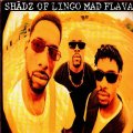 SHADZ OF LINGO / MAD FLAVAS