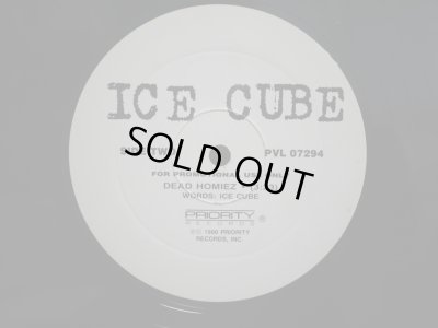 画像2: ICE CUBE / ENDANGERED SPECIES (TALES FROM THE DARKSIDE) (REMIX) / DEAD HOMIEZ (US-PROMO)