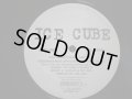 ICE CUBE / ENDANGERED SPECIES (TALES FROM THE DARKSIDE) (REMIX) / DEAD HOMIEZ (US-PROMO)