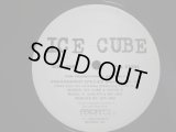 ICE CUBE / ENDANGERED SPECIES (TALES FROM THE DARKSIDE) (REMIX) / DEAD HOMIEZ (US-PROMO)