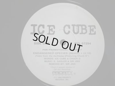 画像1: ICE CUBE / ENDANGERED SPECIES (TALES FROM THE DARKSIDE) (REMIX) / DEAD HOMIEZ (US-PROMO)