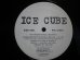 画像1: ICE CUBE / ENDANGERED SPECIES (TALES FROM THE DARKSIDE) (REMIX) / DEAD HOMIEZ (US-PROMO) (1)