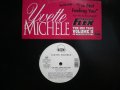 YVETTE MICHELE / I'M NOT FEELING YOU