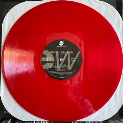 画像2: V.A. / AMERICA IS DYING SLOWLY