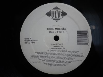 画像1: KOOL MOE DEE / CAN U FEEL IT