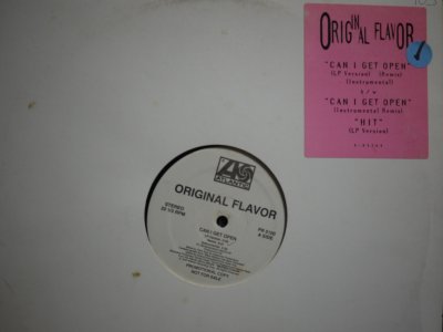 画像1: ORIGINAL FLAVOR / CAN I GET OPEN (US-PROMO)