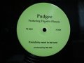 PUDGEE / EVERYBODY WANT TO BE HARD / INNER CITY BLUES
