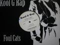 KOOL G RAP / FOUL CATS (US-PROMO)