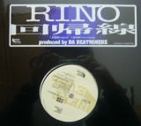 RINO / 回帰線