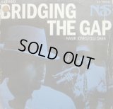 NAS / BRIDGING THE GAP  (¥500)