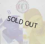 PETE ROCK & C.L. SMOOTH / ALL SOULED OUT 