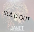 JANET / GOT 'TIL IT'S GONE (US PROMO 12'×2)