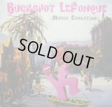 BUCKSHOT LEFONQUE / MUSIC EVOLUTION ( LP )