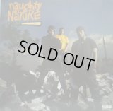 NAUGHTY BY NATURE / NAUGHTY BY NATURE (US-LP)