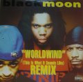 BLACK MOON / WORLDWIND ( THIS IS WHAT IT SOUNDS LIKE )