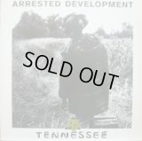 ARRESTED DEVELOPMENT / TENNESSEE 