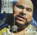 BIG PUN / IT'S SO HARD 