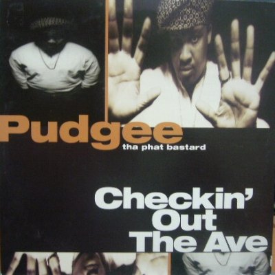画像1: PUDGEE / CHECKIN' OUT THE AVE