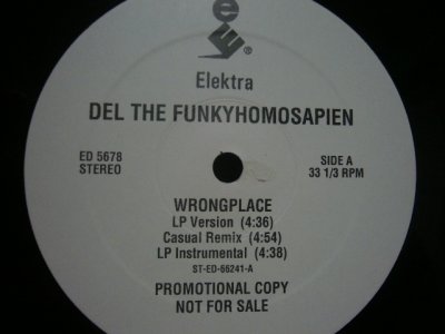 画像1: DEL THE FUNKYHOMOSAPIEN / WRONGPLACE