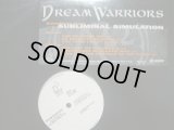 DREAM WARRIORS / SUBLIMINAL SIMULATION 