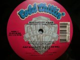 BIG DADDY KANE / RAP SUMMARY