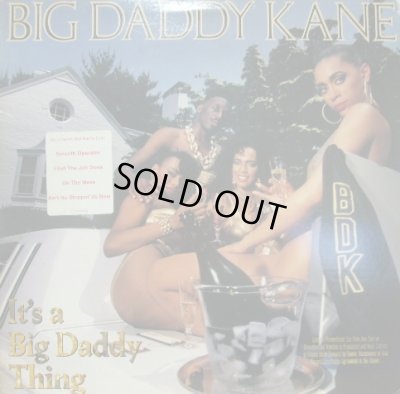 画像1: BIG DADDY KANE / IT'S A BIG DADDY THING  (US-LP)
