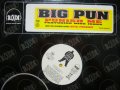 BIG PUN feat..MISS JONES / PUNISH ME  (US-PROMO)