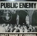 PUBLIC ENEMY / HAZY SHADE OF CRIMINAL