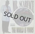MR. SCARFACE / THE WORLD IS YOURS (2LP)
