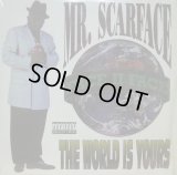 MR. SCARFACE / THE WORLD IS YOURS (2LP)