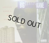 BIG DADDY KANE / LOOKS LIKE A JOB FOR... 