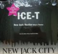 ICE-T / NEW JACK HUSTLER