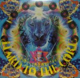 V.A. / DJ BOBO JAMES . HARD TO THE CORE (日本語ラップ黄金期セレクションズ)