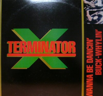 画像1: TERMINATOR X & THE VALLEY OF THE JEEP BEETS / WANNA BE DANCIN' 