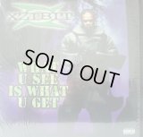 XZIBIT / WHAT U SEE IS WHAT U GET 