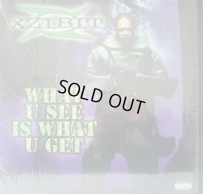 画像1: XZIBIT / WHAT U SEE IS WHAT U GET 