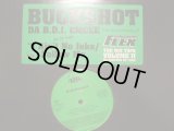 BUCKSHOT / I AIN'T NO JOKE 