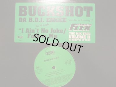 画像1: BUCKSHOT / I AIN'T NO JOKE 