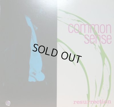 画像1: COMMON SENSE / RESURRECTION  (US-LP) 