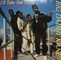 BIG DADDY KANE / I'LL TAKE YOU THERE