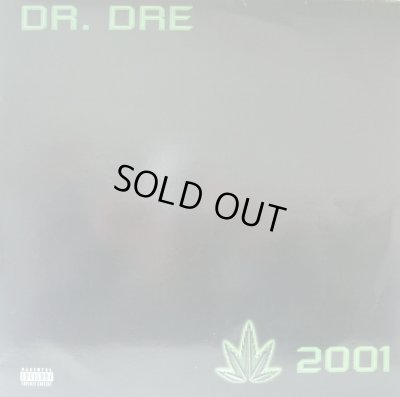 画像1: DR. DRE / 2001