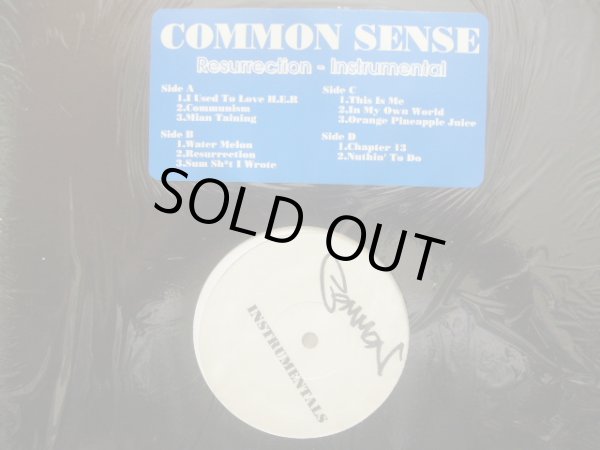 画像1: COMMON SENSE / RESURRECTION - Instrumental (2LP) (1)