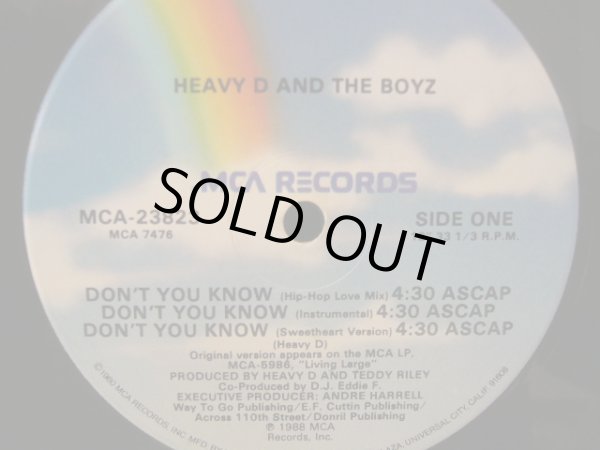 画像1: HEAVY D & THE BOYZ / DON'T YOU KNOW (1)