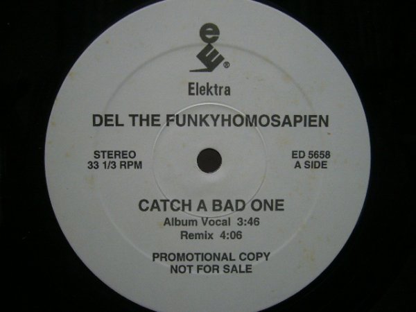 画像1: DEL THE FUNKYHOMOSAPIEN / CATCH A BAD ONE (1)